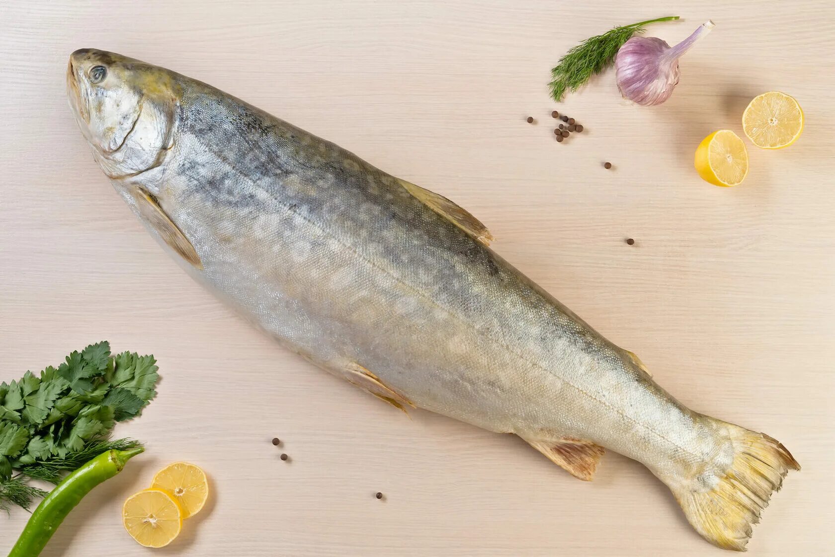 Кунджа рыба отзывы и цена фото Кунджа, блок 20 кг.