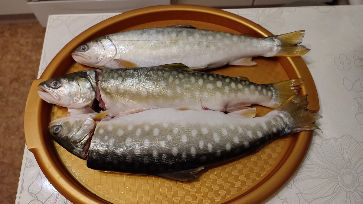 Кунджа рыба отзывы и цена фото Кунджа из магазина Доброцен. Красная рыба в омлете. Жизнь отшельника Дзен
