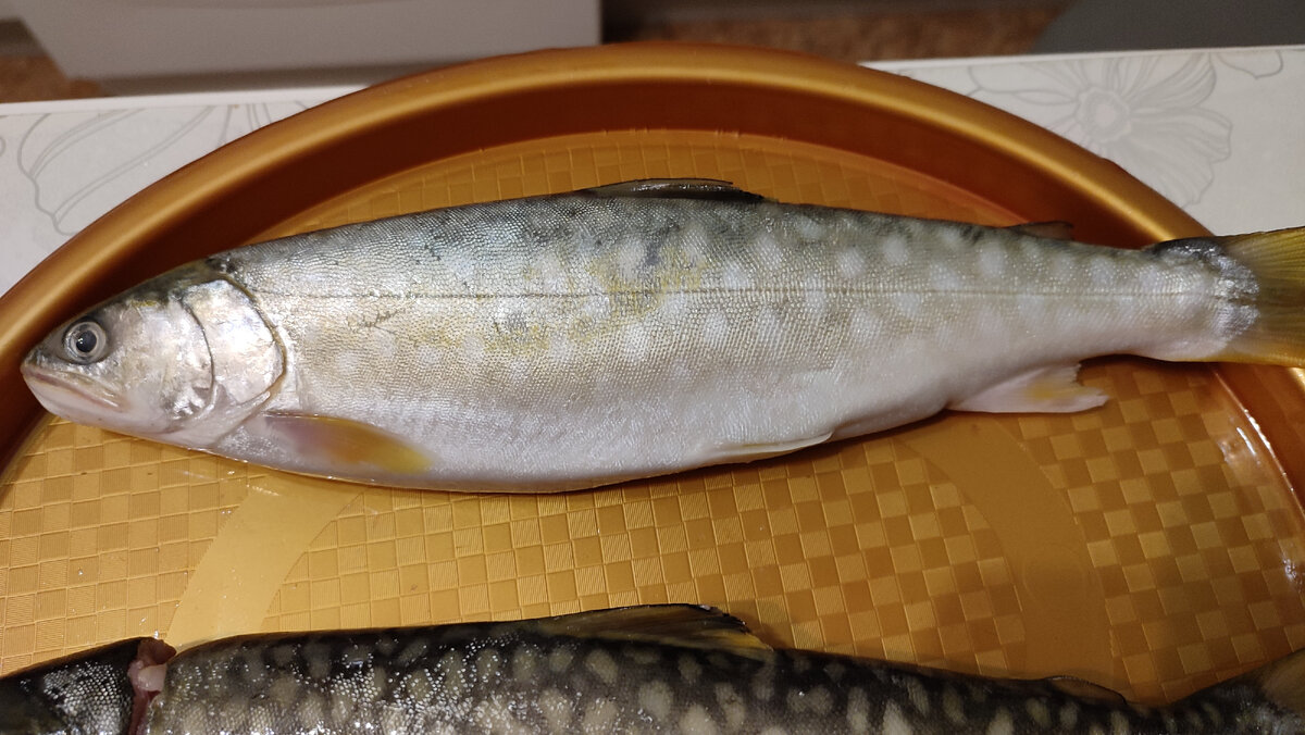 Кунджа рыба отзывы и цена фото Кунджа из магазина Доброцен. Красная рыба в омлете. Жизнь отшельника Дзен