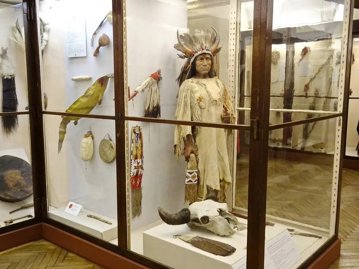 Кунсткамера санкт петербург фото экспонатов Экскурсия в Кунсткамеру для школьников и студентов (экскурсия для класса) - КидС