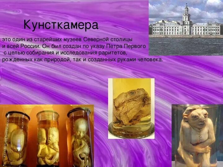 Кунсткамера санкт петербург фото экспонатов с описанием Презентация "Достопримечательности Санкт-Петербурга"