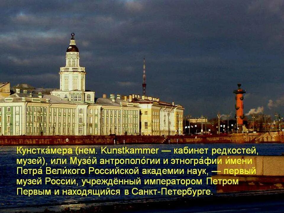 Кунсткамера в питере фото экспонатов с описанием Кунсткамера текст