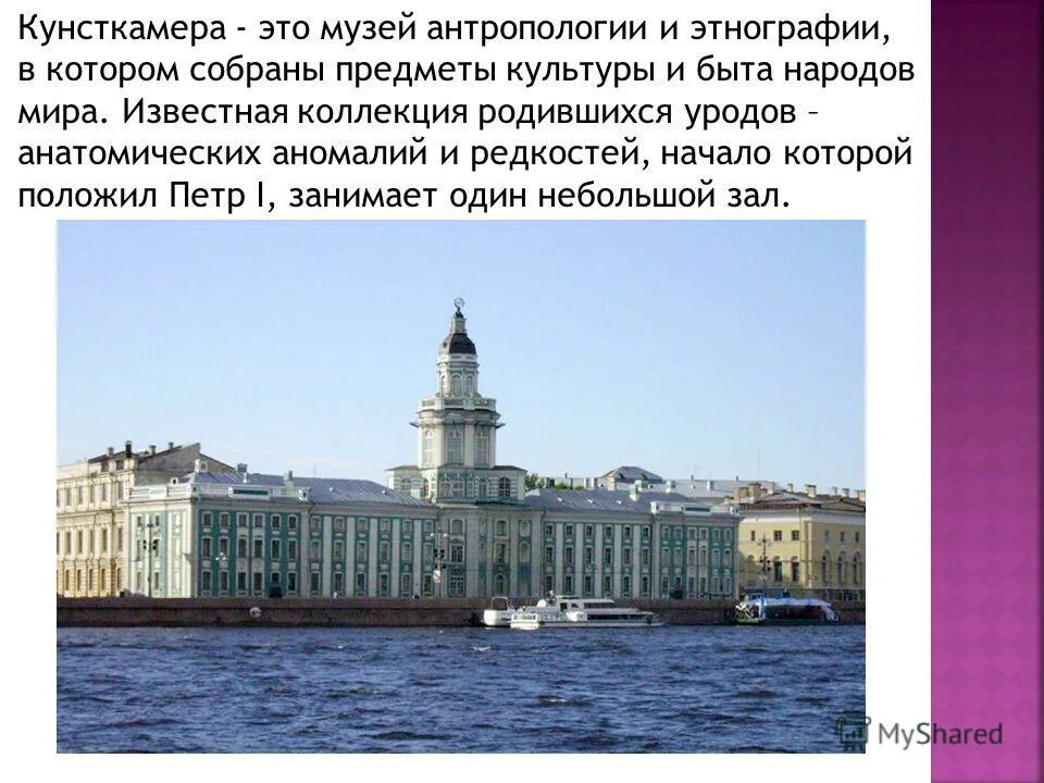 Кунсткамера в питере фото экспонатов с описанием Музей основанный петром 1