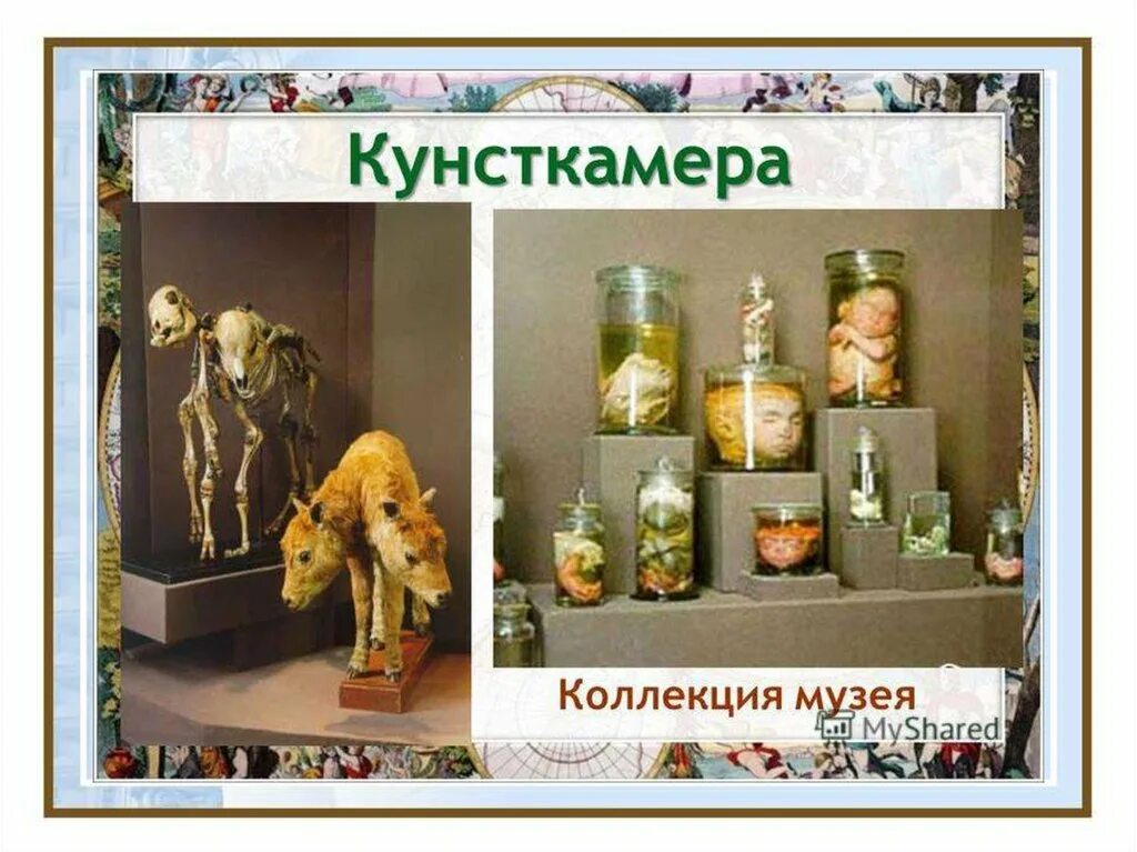 Кунсткамера в питере фото экспонатов с описанием Кунсткамера. Пётр I - презентация онлайн