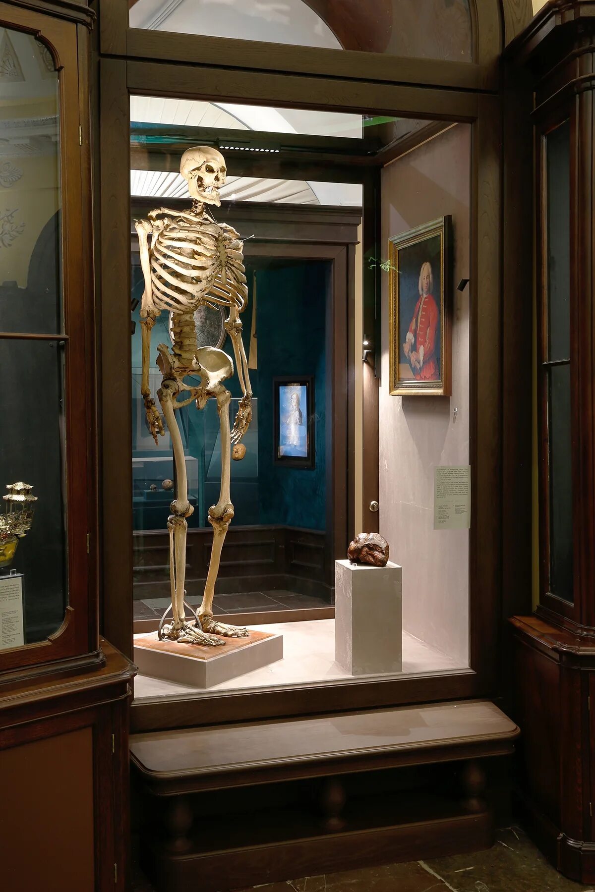 Кунсткамера в питере фото kunstkamera museum com Петровская Кунсткамера, или Башня знаний