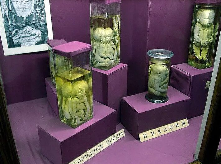 Кунсткамера в питере фото kunstkamera museum com Что кроме церквей и замков посмотреть на Гродненщине Планета Беларусь