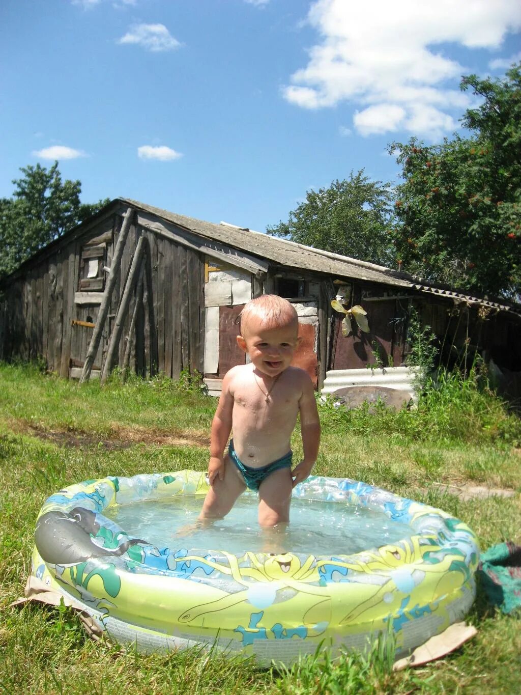Купаемся на даче фото водные процедуры. Фотоальбом участника catnatka