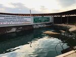 Купальни республика дагестан городской округ избербаш фото Купальни республика дагестан избербаш фото