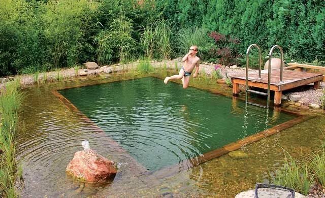 Купание на даче фото Schwimmteich anlegen selbst.de Schwimmteich anlegen, Naturschwimmbecken, Garten
