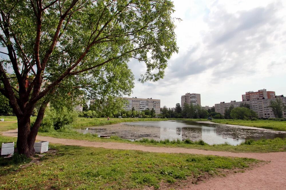 Купчинский сквер санкт петербург купчинский сквер фото Улица Димитрова. Новостройки на древней земле