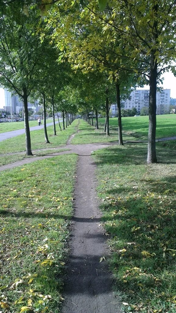 Купчинский сквер санкт петербург купчинский сквер фото Фёдоровский сквер (на реконструкции) - Санкт-Петербург холм, сквер/аллея/бульвар