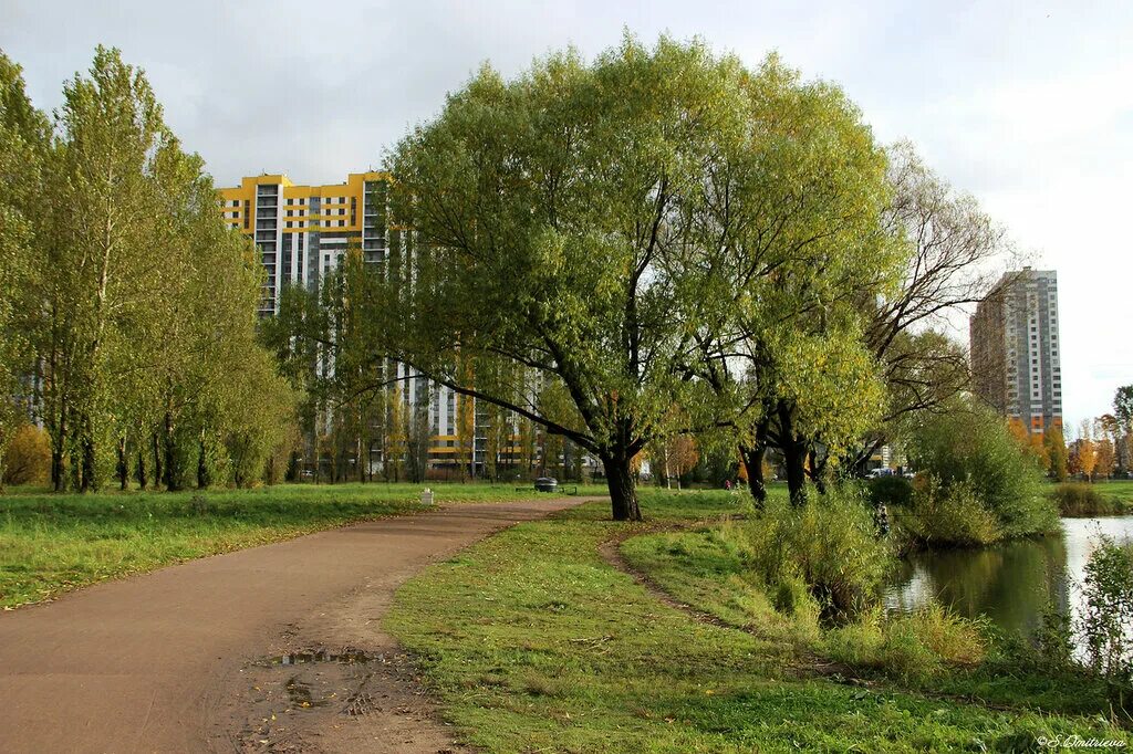Купчинский сквер санкт петербург купчинский сквер фото Парки в купчино - Фото