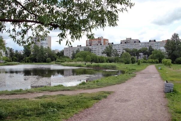 Купчинский сквер санкт петербург купчинский сквер фото Купчинский сквер в ожидании переустройства. В нем обещают новые дорожки, а главн