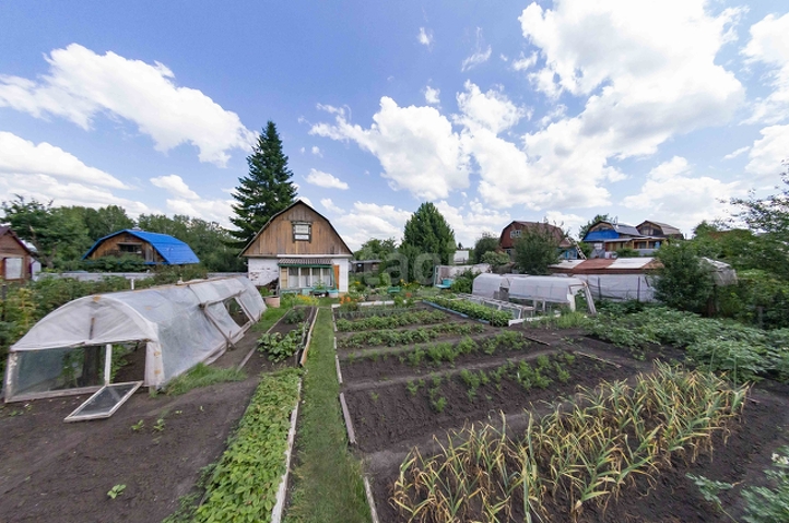 Купить дачу кемерово фото Покупка дачи, Яблочко СНТ, 5 сот., 40 м2, 9565220, Кемерово - покупка