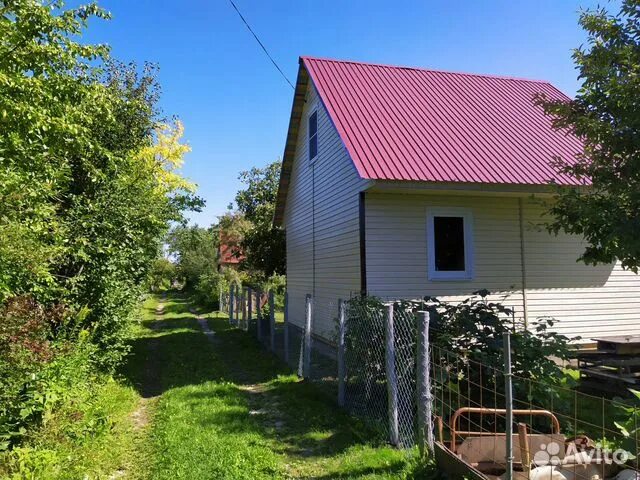 Купить дачу недорого нижний новгород фото Купить Дачу Недорого Нижний Новгород Фото - Colopot.ru