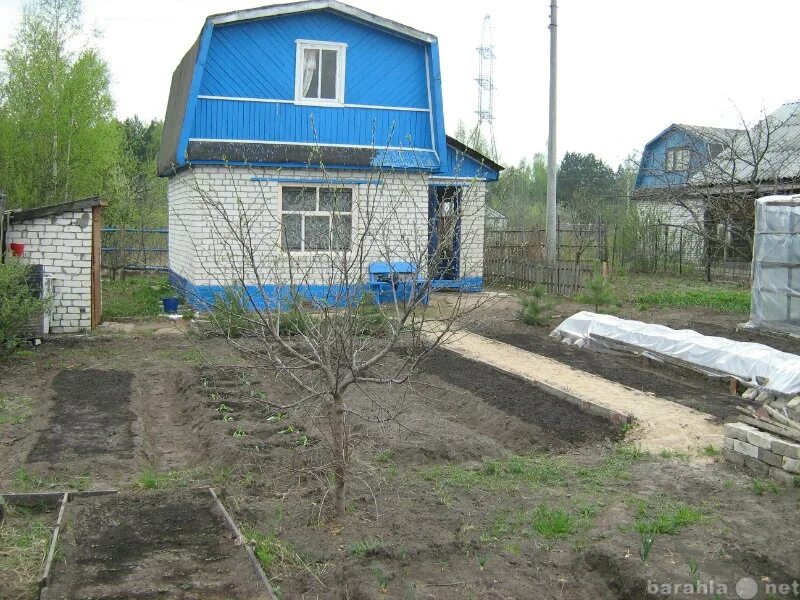 Купить дачу недорого нижний новгород фото Ольга Х - частное лицо № 509954 - Барахла.Нет