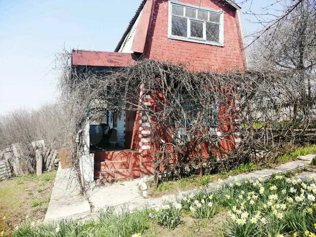 Купить дачу под белгородом с фото Дача 41,4 м² на участке 7,5 сот. на продажу в Северном Купить дом в Северном Ави