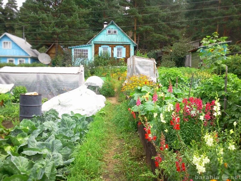 Купить дачу в чите с фото Продать дом в Чите - объявление № Н-6320431 (4152092) на Барахла.НЕТ