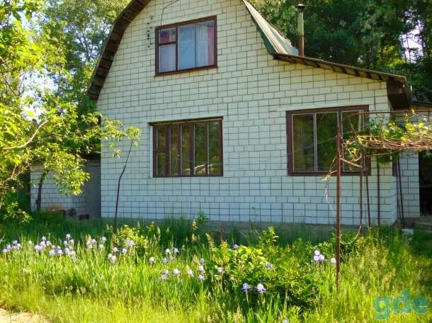 Купить дачу в гомельском районе с фото Продается дача 9 км от Гомеля, Садовое товарищество Ипуть-47 Продажа домов, дач 