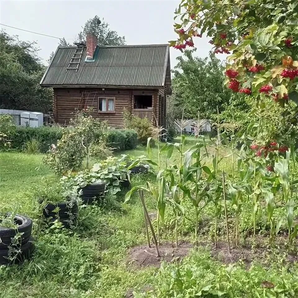 Купить дачу в калининграде с фото Дача 50 м² на участке 8 сот. на продажу в Калининграде Купить дом в Калининграде
