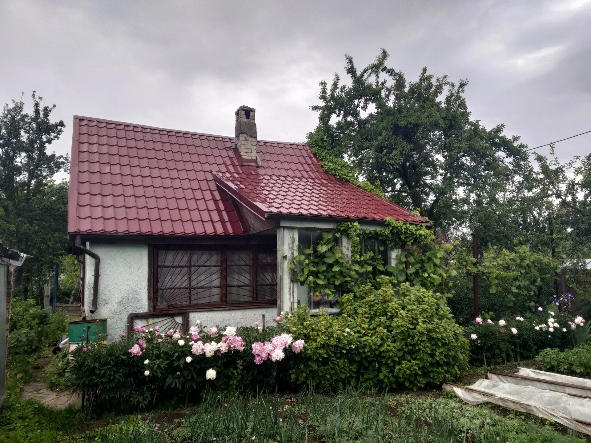 Купить дачу в калининграде с фото Купить участок, 5.19 сот., ИЖС по адресу Калининградская область, Пионерский за 