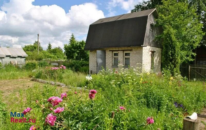 Купить дачу в корохоткино смоленск фото цена Дёшево купить дачу в Смоленске по адресу садоводческое товарищество Корохоткино