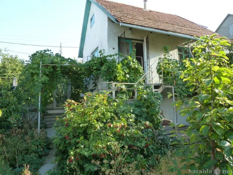 Купить дачу в крыму фото Вадим Крымов - частное лицо № 262678 - Барахла.Нет