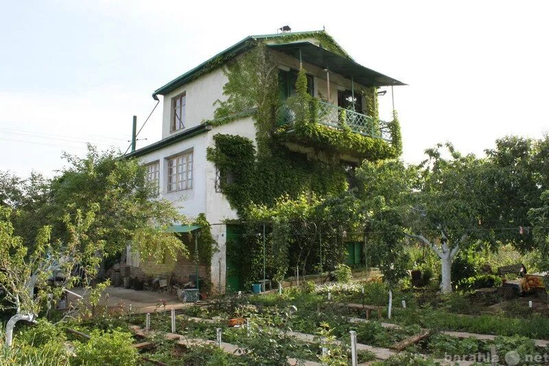 Купить дачу в крыму фото Нталья - частное лицо № 3317038 - Барахла.Нет