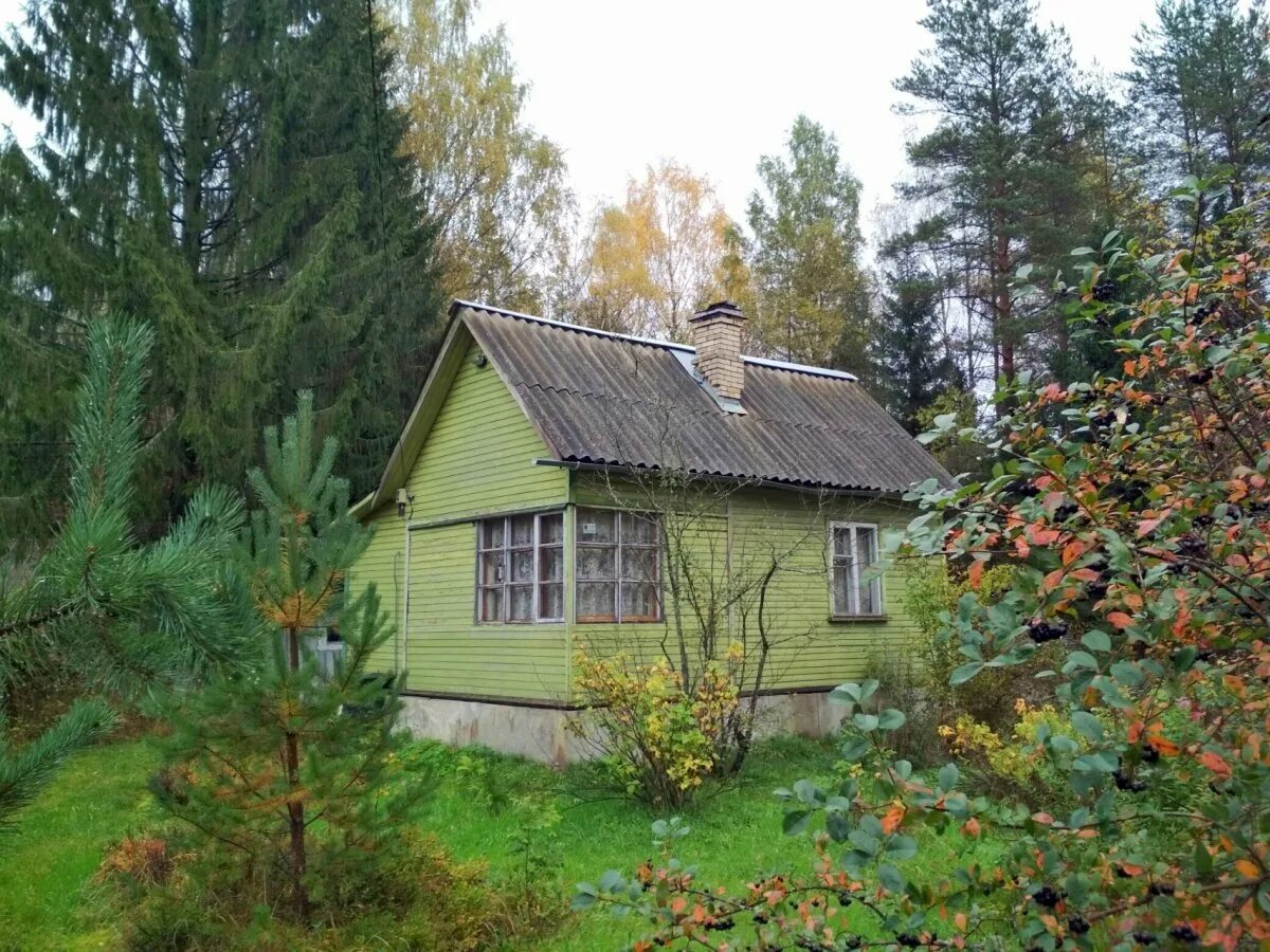 Купить дачу в ленинградской области фото Купить Загородный дом 50 кв.м с участком 11.1 сот. в Выборгский район Ленинградс