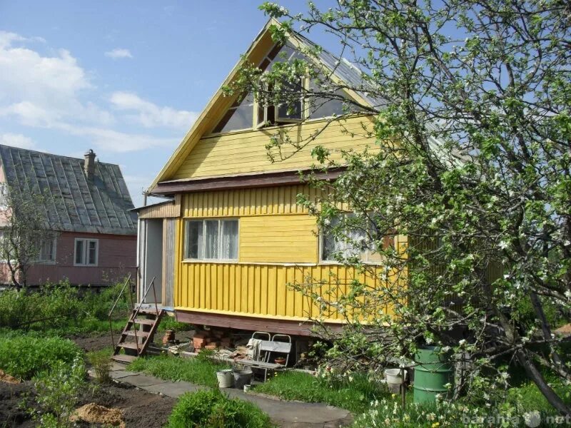 Купить дачу в ленинградской области фото Купить коттедж в Санкт-Петербурге - объявление № Н-4751617 (1058711) на Барахла.