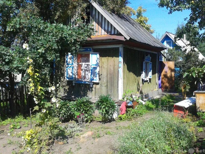 Купить дачу в новокузнецке с фото Купить коттедж в Новокузнецке - объявление № Н-6398052 (4317712) на Барахла.НЕТ