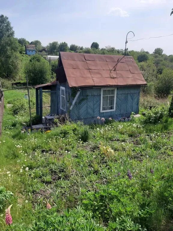 Купить дачу в новокузнецке с фото Куплю дачу в новокузнецке недорого - Арт Минск.ру