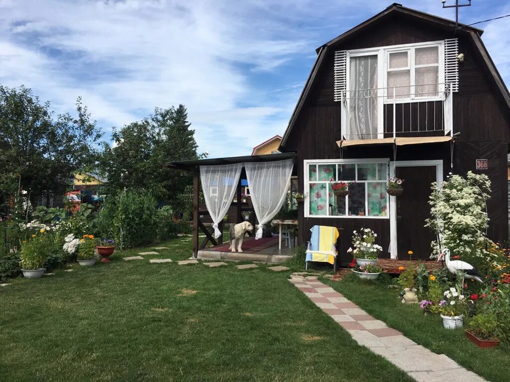 Купить дачу в новосибирске фото Продам дачу новосибирск снт