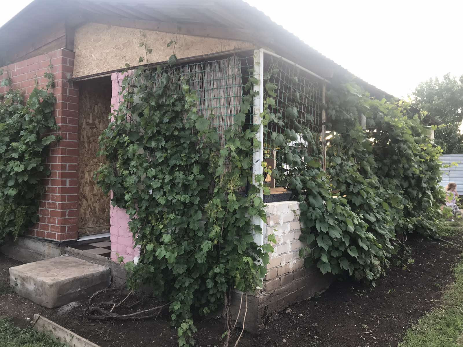 Купить дачу в оренбурге с фото Купить дом, 30 м² по адресу Оренбургский район, СНТ Эфир за 560 000 руб. в Домкл