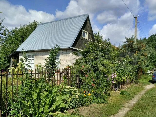 Купить дачу в рязани фото Дача 45 м² на участке 5 сот. на продажу в Рязани Купить дом в Рязани Авито