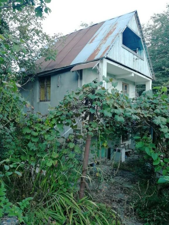 Купить дачу в сочи фото цены Снять дачу сочи: найдено 86 изображений