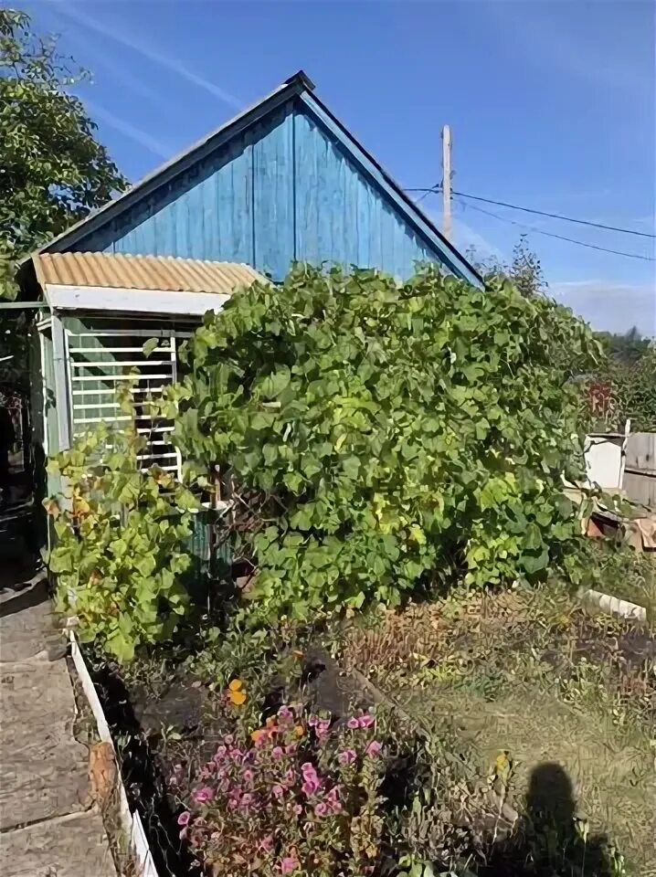 Купить дачу в ульяновске с фото Дача 20 м² на участке 4 сот. на продажу в Ульяновске Купить дом в Ульяновске Ави