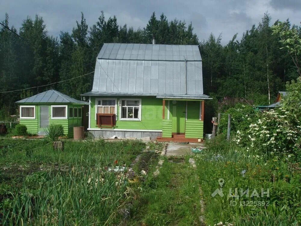 Купить дачу вологда недорого фото Четыре дачи вологодская: найдено 85 картинок