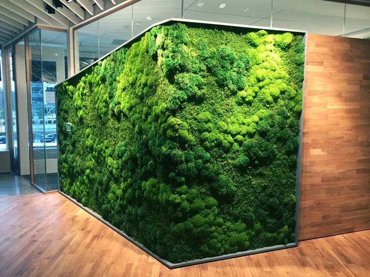 Купить декоративный мох для интерьера на стены Commercial Gallery Moss Walls and Custom Installations Vertical garden wall, Mos