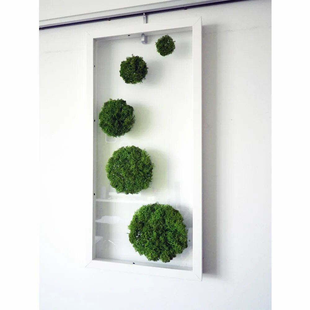 Купить декоративный мох для интерьера на стены Moss Wall Art - Breezy Entryways Collection - Dot & Bo Moss decor, Moss wall, Mo