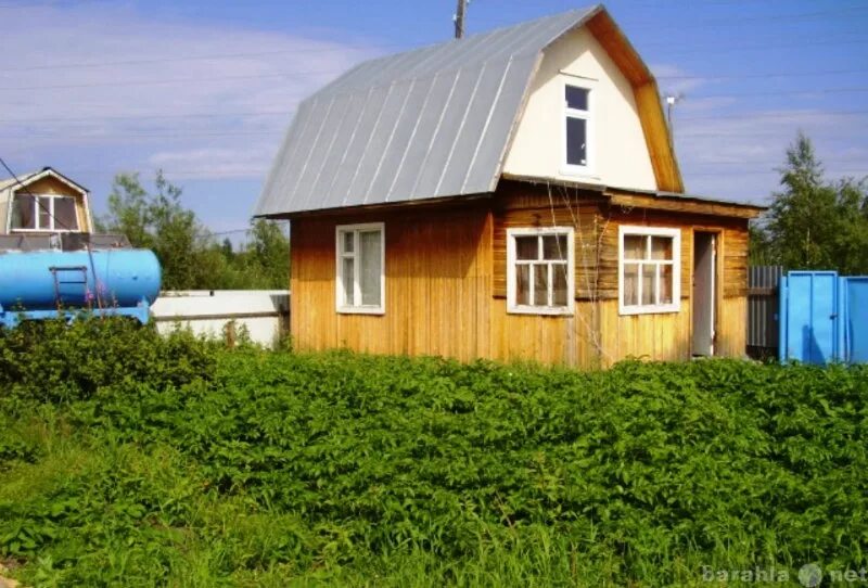 Купить дом дачу в сургуте зимний вариант Купить дачу в Сургуте - объявление № Н-7731411 (7166615) на Барахла.НЕТ