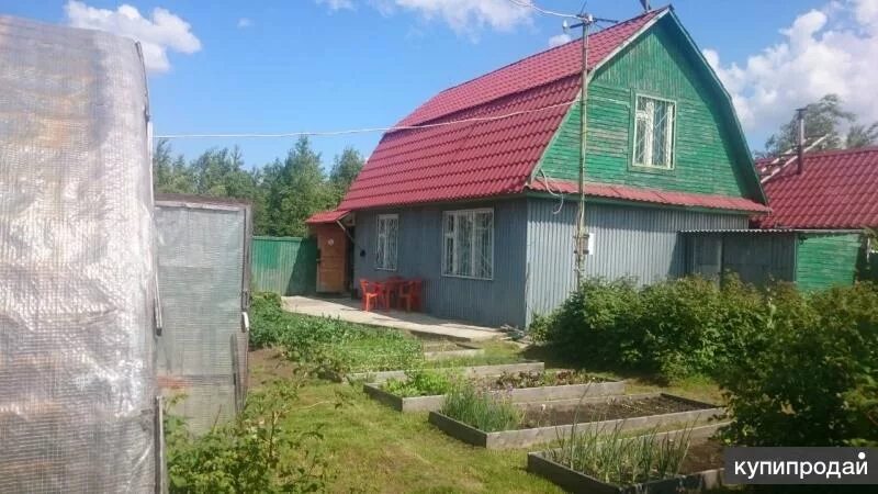 Купить дом дачу в сургуте зимний вариант Дача 80 м2 в Сургуте