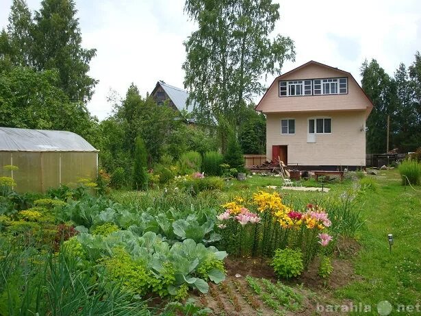 Купить дом великий новгород с фото Купить дом со всеми удобствами в Великом Новгороде - объявление № Н-7659029 (710