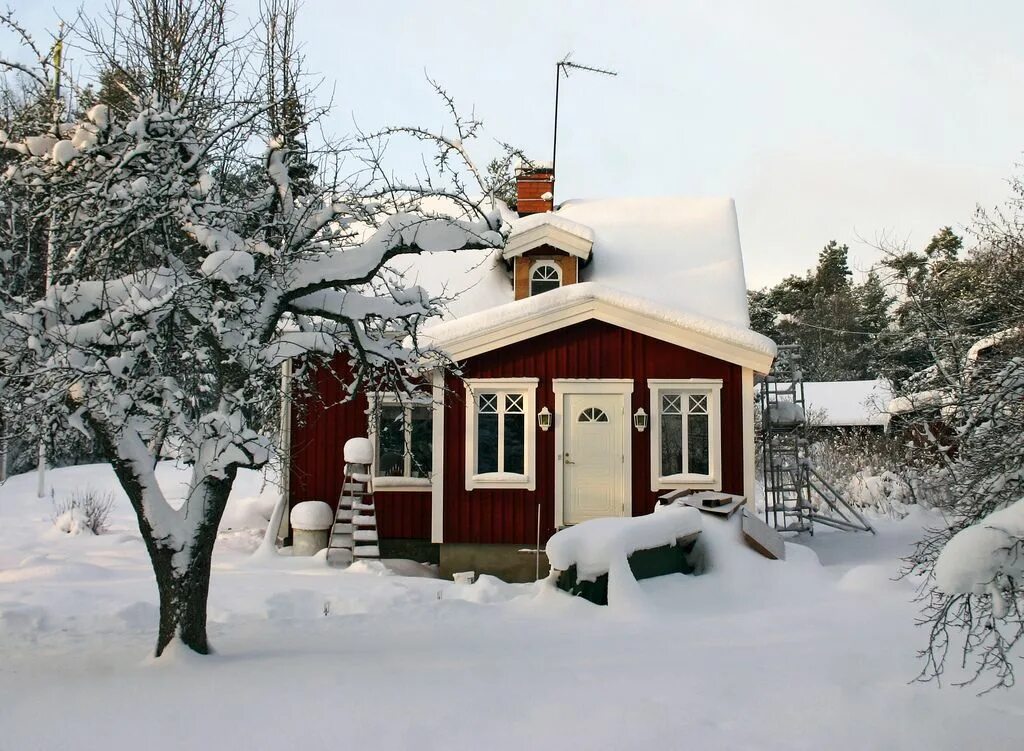 Купить дом зимний фото Финский дом Дом, Коттедж, Строительство сарая