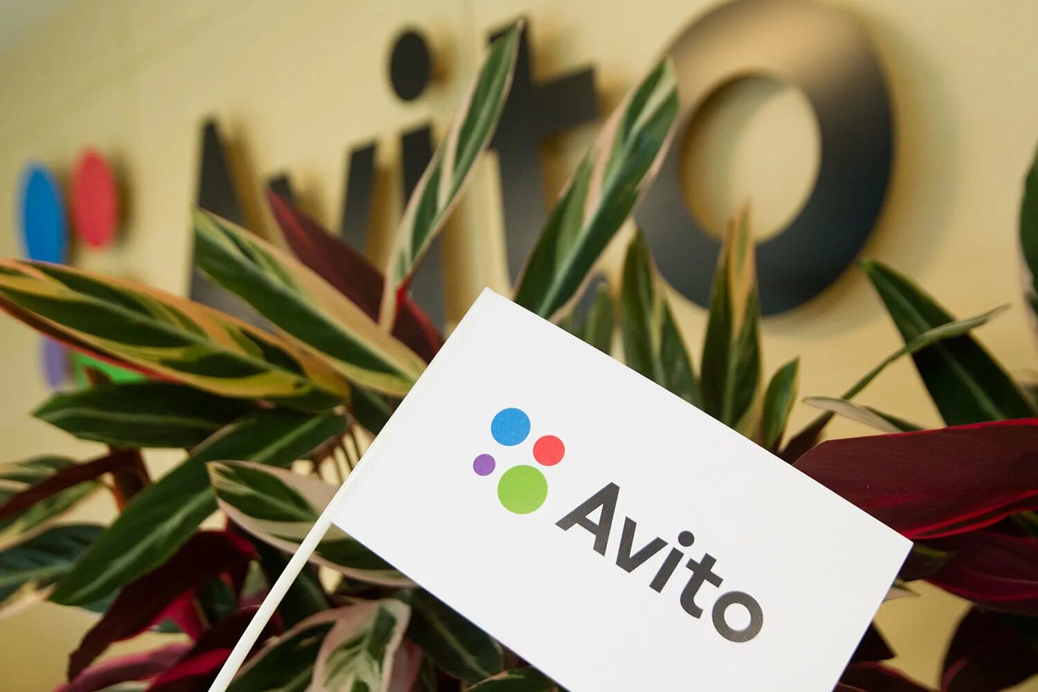 Купить фото авито новые Avito запустит сервис по поиску авиабилетов - Ведомости
