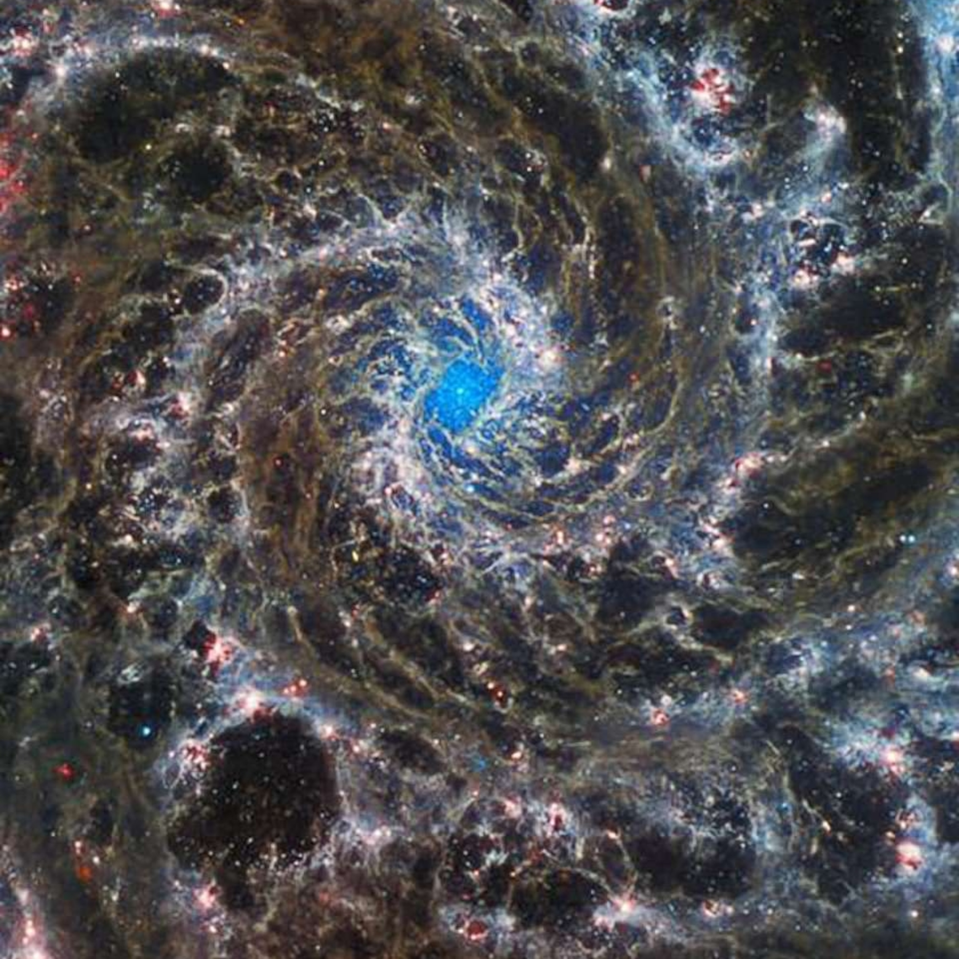 Купить фото космоса Christmas Tree Cluster' of stars dazzles from space - ABC News