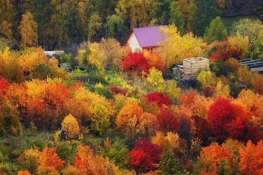 Купить фото осени Осенние краски, осенние дни" 2022, Ярославский район - дата и место проведения, 