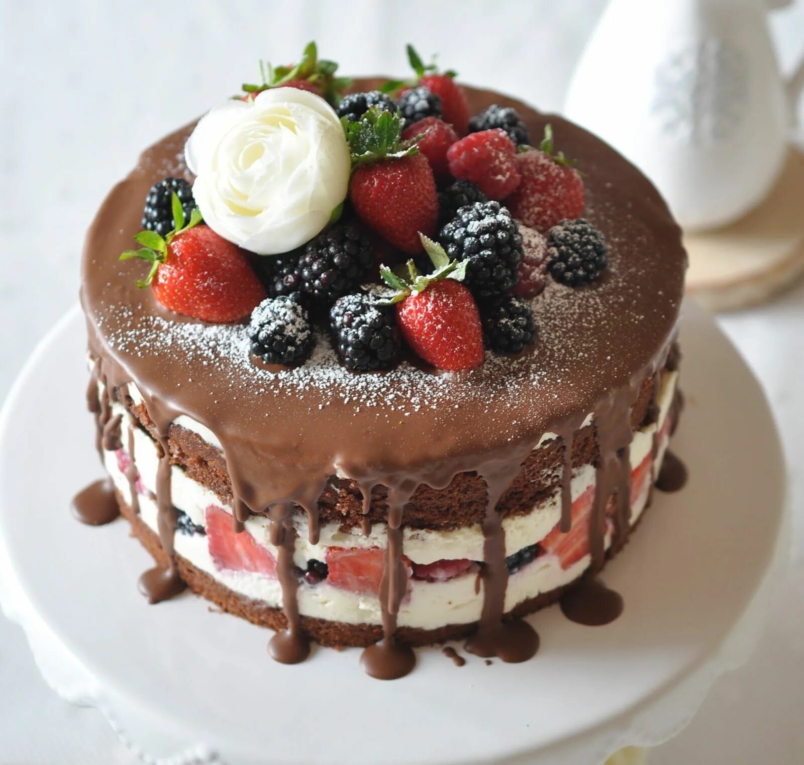 Купить фото торт Beeren- schoko Torte Kuchen und torten rezepte, Kuchen und torten, Kuchen