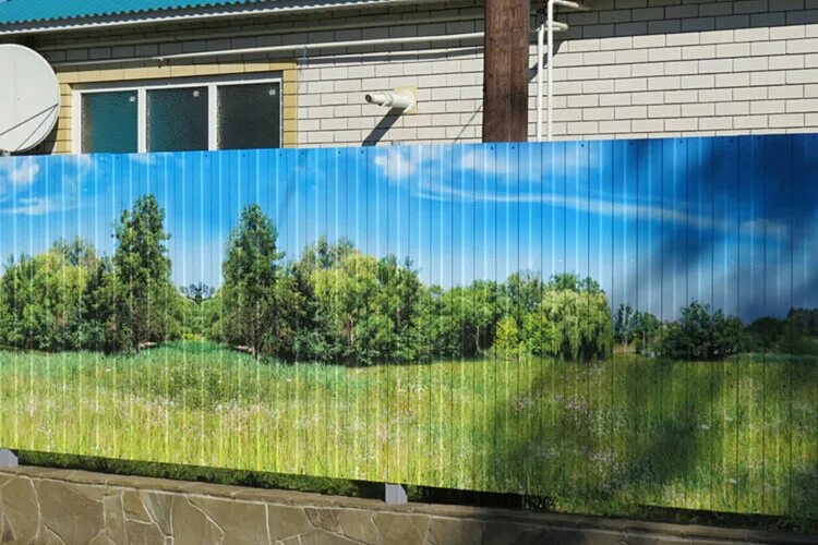 Купить фото забор на озоне недорого Как украсить забор из профнастила - 5 удачных вариантов Dream house Дзен