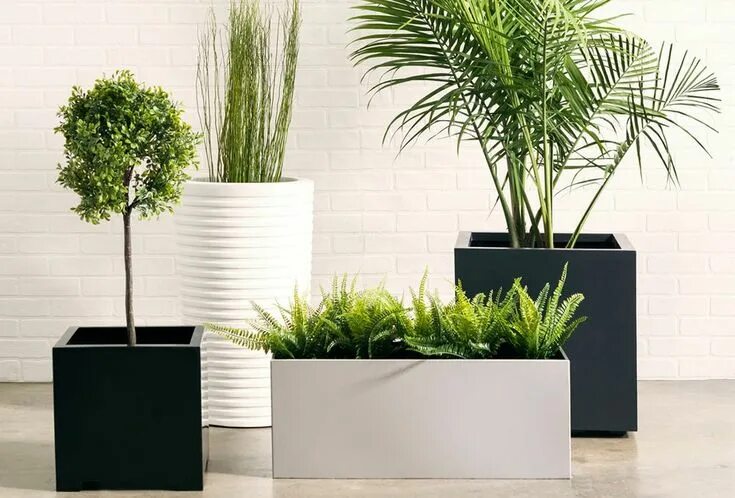 Купить горшки для цветов в интерьере Seeley Cube Planter Outdoor planters, Planters, Indoor garden